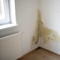 The Importance of Regularly Checking for Damage and Repairs After Renters