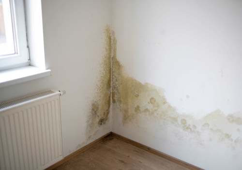 The Importance of Regularly Checking for Damage and Repairs After Renters